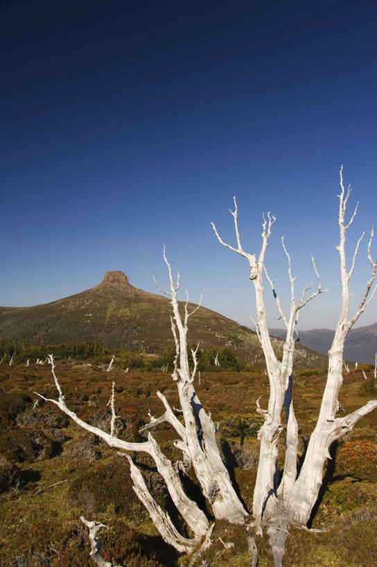 无人,竖图,室外,白天,正面,旅游,度假,石头,美景,山,山脉,植物,希腊,欧洲,阴影,枯萎,光线,石子,影子,景观,山峰,枯草,树桩,山峦,娱乐,草,树,树干,黄色,蓝色,蓝天,天空,阳光,自然,群山,天,享受,休闲,木桩,景色,放松,晴朗,自然风光,沉积岩,希腊共和国,万里无云,塞萨利,塞萨利大区,色萨利,水成岩,石块,岩石,晴空,晴空万里,彩图