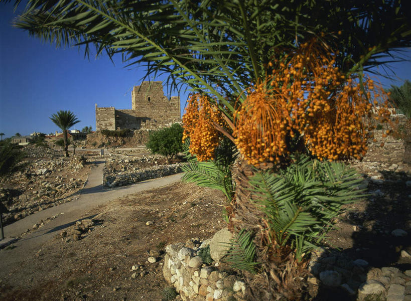 无人,家,横图,室外,白天,正面,旅游,度假,礁石,石头,名胜古迹,植物,标志建筑,地标,建筑,黎巴嫩,亚洲,阴影,遗迹,光线,石子,影子,房屋,屋子,古迹,文物,娱乐,建设,古建筑,楼房,住宅,树,树木,蓝色,绿色,蓝天,天空,阳光,自然,天,享受,休闲,旅游胜地,放松,生长,晴朗,成长,西亚,古文明,万里无云,黎巴嫩共和国,礁,石块,岩石,晴空,晴空万里,彩图,房子