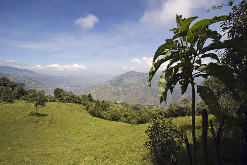 无人,横图,室外,白天,正面,旅游,度假,草地,草坪,火山,美景,山,山脉,植物,厄瓜多尔,阴影,光线,影子,景观,山顶,山峰,云,云朵,山峦,云彩,娱乐,草,树,树木,蓝色,绿色,白云,蓝天,天空,阳光,自然,群山,天,享受,休闲,景色,南美,放松,生长,晴朗,成长,南美洲,拉丁美洲,自然风光,美洲,亚美利加洲,南亚美利加洲,厄瓜多尔共和国,颠峰,极峰,活火山,死火山,休眠火山,晴空,彩图