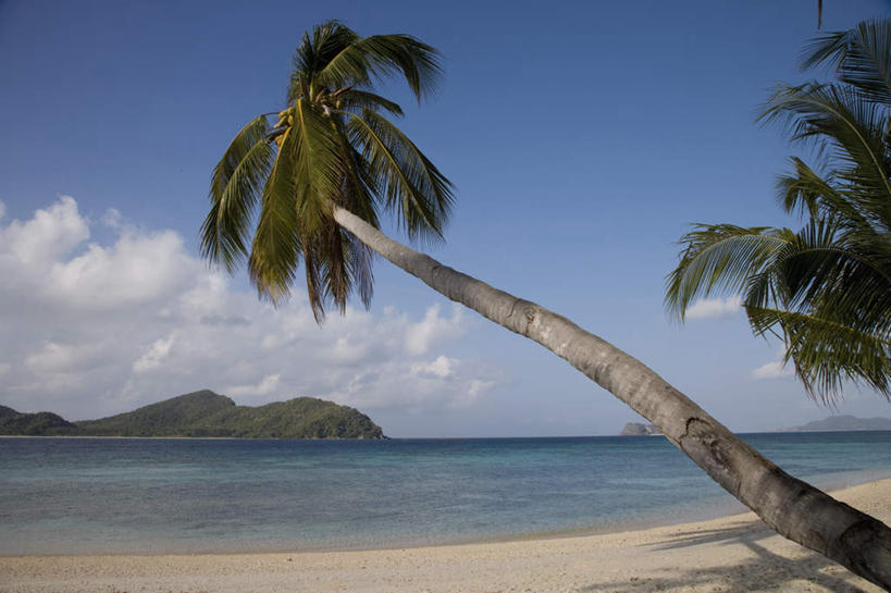 无人,横图,室外,白天,正面,旅游,度假,岛屿,海浪,海洋,石头,美景,沙滩,植物,棕榈树,叶子,菲律宾,亚洲,阴影,光线,沙子,石子,影子,岛,海岸,景观,浪花,水平线,云,云朵,辽阔,绿叶,海平线,沙地,云彩,娱乐,树,树木,蓝色,绿色,白云,蓝天,天空,阳光,自然,海水,天,享受,休闲,广阔,嫩叶,景色,放松,东南亚,生长,晴朗,成长,一望无际,自然风光,海景,棕榈叶,菲律宾共和国,无边无际,一马平川,巴拉望,巴拉望岛,叶,叶片,大海,风浪,海,海水的波动,海滩,近岸浪,列岛,群岛,石块,岩石,涌浪,诸岛,晴空,彩图,水天相接,水天一线