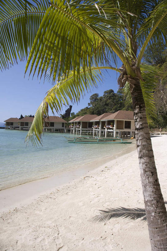 无人,家,竖图,室外,白天,正面,度假,海浪,海洋,美景,沙滩,植物,城市风光,城市,棕榈树,叶子,菲律宾,亚洲,阴影,光线,沙子,影子,房屋,屋子,海岸,景观,浪花,绿叶,沙地,娱乐,楼房,住宅,树,树木,蓝色,绿色,蓝天,天空,阳光,自然,海水,天,享受,休闲,嫩叶,景色,放松,东南亚,生长,晴朗,成长,海景,棕榈叶,万里无云,菲律宾共和国,埃尔尼多,爱妮岛,爱尼岛,叶,叶片,大海,风浪,海,海水的波动,海滩,近岸浪,涌浪,晴空,晴空万里,彩图,房子