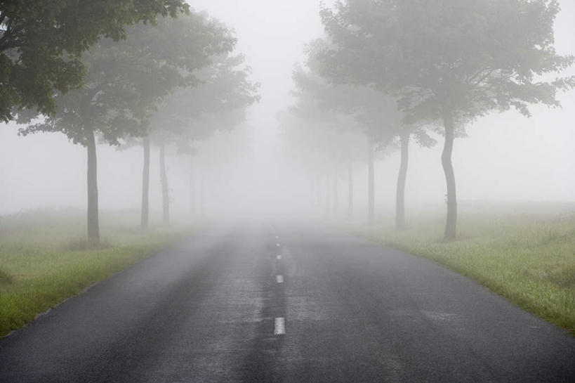 无人,横图,室外,白天,正面,旅游,度假,草地,草坪,美景,植物,雾,道路,路,公路,法国,欧洲,阴影,朦胧,模糊,光线,白线,影子,景观,交通,娱乐,草,树,树木,绿色,天空,阳光,自然,天,享受,休闲,景色,放松,生长,成长,迷雾,自然风光,法兰西共和国,法兰西第五共和国,大雾,马路,彩图