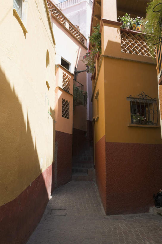 无人,家,露台,竖图,室外,白天,仰视,旅游,度假,植物,别墅,阳台,道路,路,阴影,光线,瓷砖,地砖,盆栽,影子,房屋,墙,屋子,公寓,小路,小巷,盆景,地面,交通,娱乐,洋房,楼房,墙壁,墙面,住宅,绿色,阳光,自然,享受,休闲,放松,生长,成长,狭窄,局促,狭小,冷巷,彩图,低角度拍摄,房子,露天阳台