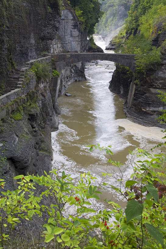 无人,栏杆,竖图,室外,白天,正面,石头,美景,瀑布,水,植物,楼梯,城市,纽约,美国,阴影,飞溅,溅,光线,扶手,石子,液体,影子,阶梯,景观,水滴,桥,石桥,护栏,拱桥,台阶,栈桥,水珠,树,树木,绿色,阳光,自然,景色,拱形,生长,成长,人行桥,石拱桥,北美,北美洲,喷洒,自然风光,美洲,纽约州,帝国之州,帝国州,北亚美利加洲,亚美利加洲,罗彻斯特,罗契斯特,罗切斯特,跌水,石块,岩石,彩图