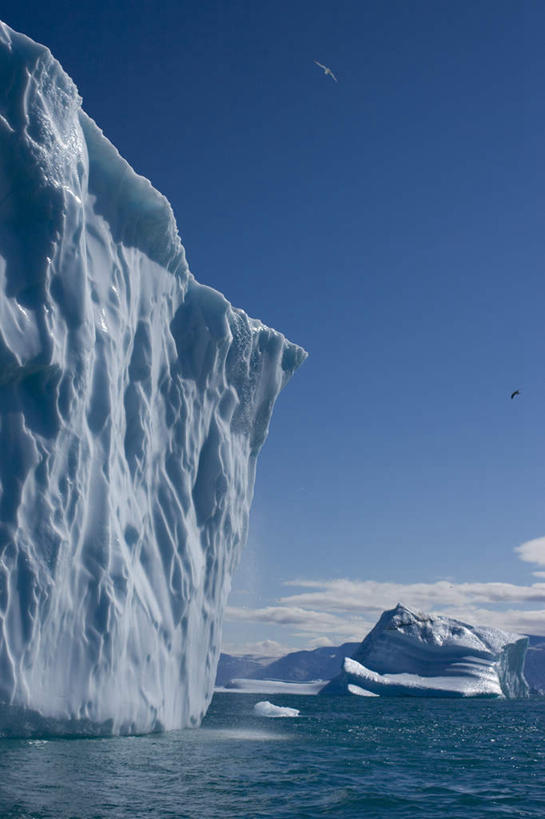 无人,竖图,室外,白天,仰视,海浪,海洋,美景,鸟,丹麦,欧洲,飞翔,阴影,飞行,光线,鸟类,影子,冰,景观,浪花,云,云朵,翱翔,云彩,飞,蓝色,白云,蓝天,天空,阳光,自然,海水,浮冰,天,两只,景色,寒冷,晴朗,冰冷,自然风光,北欧,海景,格陵兰,格陵兰岛,严寒,丹麦王国,冰凉,酷寒,凛冽,凛凛,极冷,流冰,浮冰块,大海,风浪,海,海水的波动,近岸浪,涌浪,晴空,彩图,低角度拍摄,全身