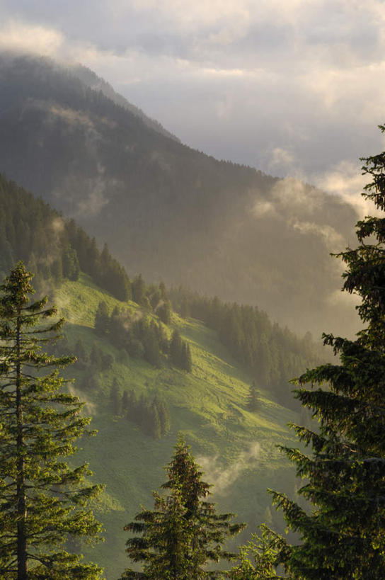 无人,竖图,室外,白天,正面,旅游,度假,美景,日落,森林,山,山脉,树林,植物,德国,欧洲,阴影,光线,影子,景观,山峰,晚霞,霞光,落日,山峦,娱乐,树,树木,绿色,阳光,自然,黄昏,群山,享受,休闲,景色,彩霞,放松,生长,成长,西欧,自然风光,德意志联邦共和国,巴伐利亚,巴伐利亚州,拜恩州,拜恩自由州,夕照,贝希特斯加登,贝希特斯加登县,夕阳,彩图,斜阳