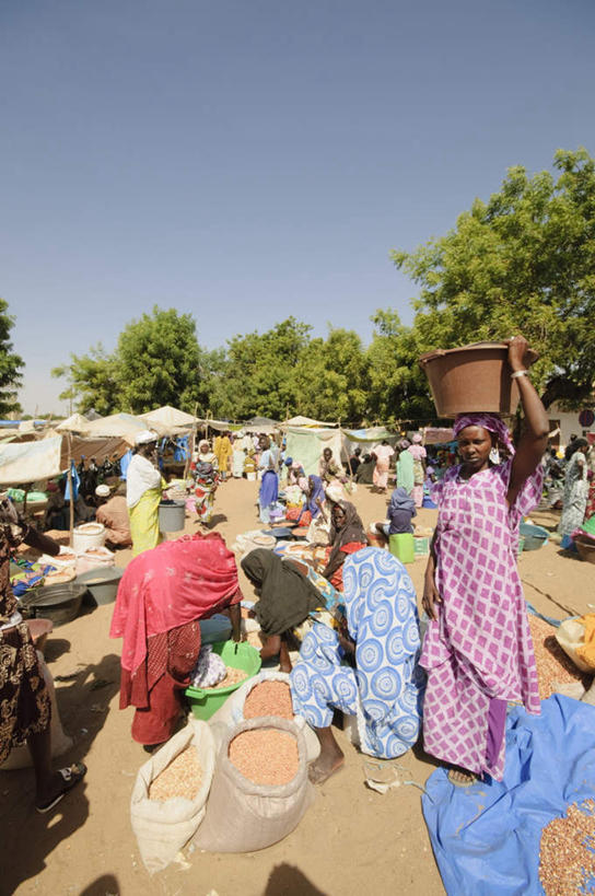 西方人,竖图,室外,白天,正面,民族服装,旅游,度假,植物,欧洲,非洲,塞内加尔,黑人,欧洲人,阴影,光线,影子,许多人,娱乐,树,树木,蓝色,绿色,蓝天,天空,阳光,天,一群人,享受,休闲,放松,生长,成长,塞内加尔共和国,西非,男人,男性,年轻男性,年轻女性,女人,女性,非洲人,彩图,全身,传统服装,民俗服