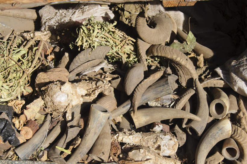 牙齿,无人,横图,俯视,室外,特写,白天,非洲,塞内加尔,长牙,一堆,许多,阴影,堆叠,堆积,光线,影子,很多,凌乱,阳光,堆,混乱,鹿角,塞内加尔共和国,西非,纷乱,缭乱,庞杂,齿,牙,牙龈,彩图,高角度拍摄