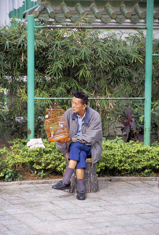 东方人,一个人,坐,竖图,室外,白天,正面,度假,美景,植物,城市风光,城市,香港,中国,亚洲,仅一个男性,仅一个人,仅一个中年男性,两根,柱子,景观,二郎腿,注视,黄种人,娱乐,翘腿,树,树木,蓝色,绿色,观察,看,享受,休闲,景色,放松,生长,成长,观看,港,察看,关注,东亚,九龙,旺角,香港特别行政区,港澳台,中华人民共和国,九龙半岛,油尖旺区,男人,男性,中年男性,亚洲人,坐着,彩图,全身