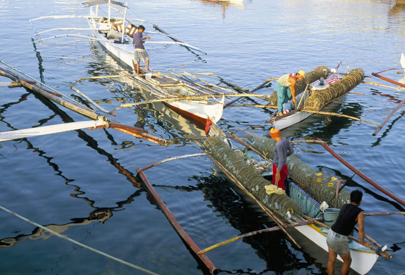 东方人,四个人,站,横图,俯视,室外,白天,岛屿,湖,湖泊,水,船,菲律宾,亚洲,握,阴影,波纹,服装,光线,影子,岛,湖面,水流,水面,木船,涟漪,拿,拿着,注视,休闲装,黄种人,衣服,倒影,水纹,阳光,交通工具,波浪,湖水,观察,看,站着,休闲服,握着,服饰,东南亚,渔网,观看,渔具,察看,倒映,舟,关注,抓捕,载具,捕捞,鱼网,三艘,拉网,捕捞工具,水晕,菲律宾共和国,菲律宾群岛,吕宋岛,反照,男人,男性,中年男性,亚洲人,列岛,群岛,诸岛,站立,彩图,高角度拍摄,全身
