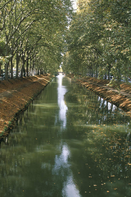 无人,竖图,室外,白天,正面,度假,河流,美景,水,植物,城市风光,城市,道路,路,汽车,叶子,法国,欧洲,一排,阴影,整齐,并列,并排,光线,影子,河水,景观,水流,小路,枯叶,落叶,交通,娱乐,车,树,树木,排列,绿色,倒影,阳光,自然,交通工具,轿车,享受,休闲,景色,放松,生长,成长,倒映,队列,载具,平行,法兰西共和国,首府,省会,法兰西第五共和国,反照,南部.比利牛斯,图卢兹,南部.比利牛斯大区,上加龙,上加龙省,叶,叶片,彩图