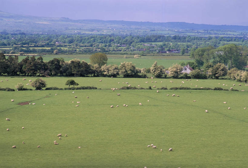 无人,家,农田,站,吃,横图,俯视,航拍,室外,白天,度假,庄稼,农作物,草地,草坪,美景,日落,山,山脉,植物,城市风光,城市,羊,爱尔兰,欧洲,许多,阴影,丰富,丰收,光线,影子,房屋,屋子,景观,山峰,晚霞,霞光,落日,山峦,丰盛,娱乐,楼房,住宅,草,树,树木,绿色,阳光,自然,黄昏,动物,群山,低头,站着,享受,休闲,家畜,景色,彩霞,放松,牲畜,生长,成长,西欧,鸟瞰,爱尔兰共和国,垂头,丰登,丰硕,夕照,蒂珀雷里郡,夕阳,绵羊,嚼,食,站立,彩图,高角度拍摄,全身,耕地,庄稼田,房子,斜阳