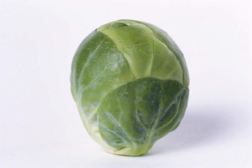 无人,横图,俯视,室内,特写,白天,白色背景,蔬菜,椰菜,卷心菜,新鲜,食品,食物,一个,绿色,甘蓝,摄影,有机食品,绿色食品,抱子甘蓝,芽甘蓝,影棚,单个,球芽甘蓝,子持甘蓝,结球甘蓝,甘兰,包心菜,彩图,高角度拍摄,影棚拍摄,拍摄