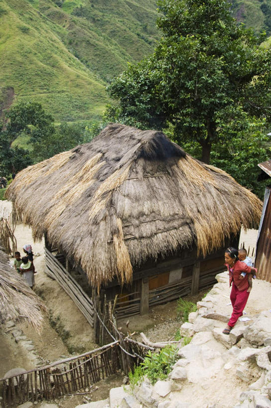 东方人,一个人,家,站,竖图,俯视,室外,白天,度假,草地,草坪,岛屿,石头,美景,植物,城市风光,城市,菲律宾,亚洲,仅一个女性,仅一个人,阴影,服装,光线,石子,影子,房屋,屋子,草屋,岛,景观,注视,休闲装,黄种人,娱乐,住宅,草,树,树木,衣服,绿色,阳光,茅草屋,观察,看,站着,仅一个中年女性,享受,休闲,休闲服,景色,放松,服饰,东南亚,生长,成长,观看,察看,关注,菲律宾共和国,菲律宾群岛,吕宋岛,女人,女性,中年女性,亚洲人,列岛,群岛,石块,岩石,诸岛,站立,彩图,高角度拍摄,全身,房子,茅舍,茅屋,小屋