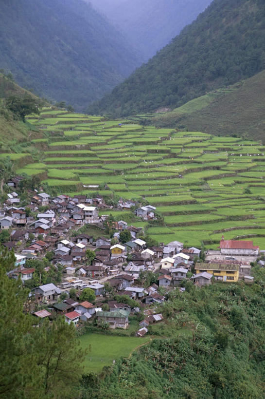 无人,家,农田,竖图,俯视,室外,白天,旅游,度假,庄稼,梯田,农作物,岛屿,美景,森林,山,山脉,树林,植物,标志建筑,地标,建筑,菲律宾,亚洲,曲折,弯曲,房屋,屋子,岛,景观,山峰,山峦,娱乐,建设,楼房,住宅,树,树木,绿色,自然,群山,享受,休闲,旅游胜地,景色,放松,东南亚,蜿蜒,生长,成长,自然风光,菲律宾共和国,菲律宾群岛,吕宋岛,列岛,群岛,诸岛,彩图,高角度拍摄,耕地,庄稼田,房子