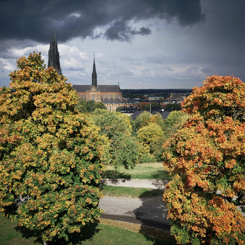 无人,教堂,横图,室外,白天,正面,旅游,度假,草地,草坪,植物,标志建筑,道路,地标,建筑,路,瑞典,欧洲,阴影,节日,光线,影子,云,云朵,小路,交通,云彩,文化,娱乐,建设,草,树,树木,蓝色,绿色,白云,蓝天,天空,阳光,自然,天,祈祷,享受,休闲,健康,旅游胜地,放松,许愿,宗教,信仰,生长,晴朗,成长,纪念,祈求,斯堪的纳维亚,北欧,斯堪的纳维亚半岛,信念,瑞典王国,乌普萨拉省,平安,晴空,彩图,大教堂,礼拜堂