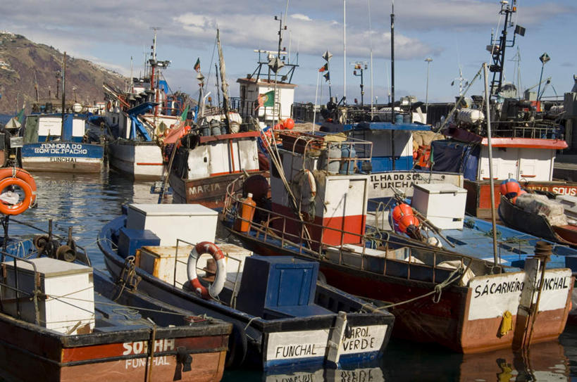 游泳,无人,码头,横图,俯视,室外,白天,度假,美景,山,山脉,城市风光,城市,港口,轮船,船,葡萄牙,欧洲,许多,停靠,阴影,光线,救生圈,影子,塑料,景观,山峰,云,云朵,山峦,云彩,娱乐,排列,蓝色,白云,蓝天,天空,阳光,塑料制品,游泳圈,交通工具,群山,天,享受,休闲,橙色,景色,放松,充气,晴朗,救生,南欧,停泊,载具,泅水,摆列,葡萄牙共和国,丰沙尔,马德拉群岛,晴空,彩图,高角度拍摄,摆渡口,埠头,渡口,渡头,港湾,海港,货运码头,口岸,商港,布列,分列