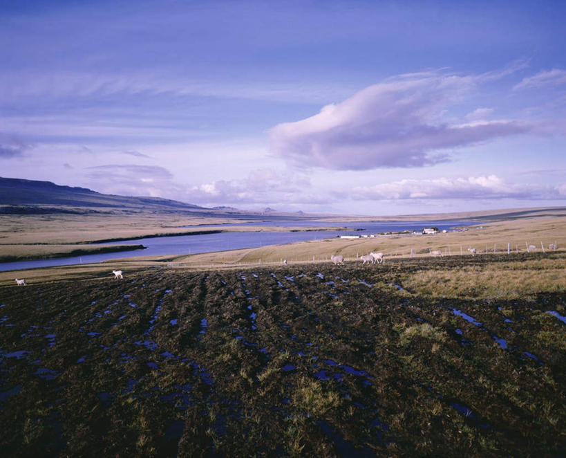 无人,农田,农场,横图,室外,白天,正面,旅游,度假,畜牧业,牧场,庄稼,农作物,草地,草坪,河流,美景,水,植物,阴影,光线,影子,河水,景观,水流,云,云朵,云彩,娱乐,草,树,树木,蓝色,绿色,白云,蓝天,天空,阳光,自然,天,享受,休闲,景色,南美,放松,生长,晴朗,成长,南美洲,拉丁美洲,自然风光,美洲,畜牧,牧业,亚美利加洲,南亚美利加洲,福克兰群岛,马岛,马尔维纳斯群岛,晴空,彩图,耕地,庄稼田