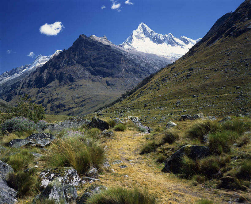 无人,公园,横图,室外,白天,正面,旅游,度假,安全,草地,草坪,石头,美景,山,雪,雪山,植物,大雪,秘鲁,阴影,平静,光线,石子,影子,冰,积雪,景观,山峰,雪景,云,云朵,冬季,冬天,山峦,云彩,娱乐,草,树,树木,蓝色,绿色,白云,蓝天,天空,阳光,自然,天,享受,休闲,景色,南美,放松,寒冷,生长,晴朗,成长,宁静,冰冷,南美洲,国家公园,拉丁美洲,自然风光,美洲,和平,安详,秘鲁共和国,亚美利加洲,严寒,南亚美利加洲,玉米之仓,冰凉,酷寒,凛冽,凛凛,极冷,太平,安适,安好,宁靖,瓦斯卡兰国家公园,石块,岩石,晴空,彩图