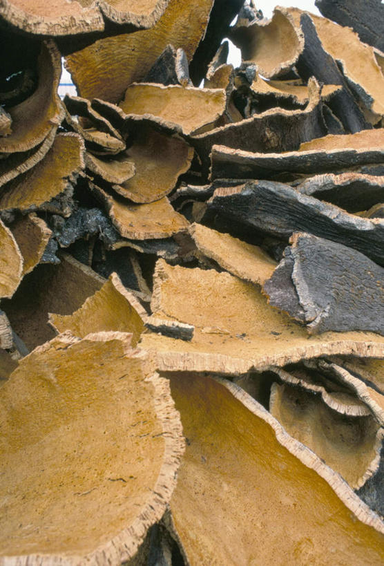 无人,竖图,室外,白天,正面,旅游,度假,农业,美景,意大利,欧洲,许多,阴影,堆叠,光线,影子,景观,褐色,树皮,很多,娱乐,阳光,自然,享受,休闲,旅游胜地,景色,放松,干,南欧,自然风光,意大利共和国,撒丁岛,彩图