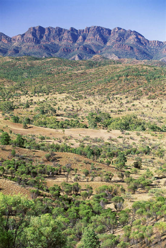 无人,竖图,俯视,室外,白天,旅游,度假,石头,美景,森林,山,山脉,树林,植物,澳大利亚,阴影,枯萎,光线,石子,影子,景观,山峰,枯草,山峦,娱乐,草,树,树木,黄色,蓝色,绿色,蓝天,天空,阳光,自然,群山,天,享受,休闲,景色,放松,生长,晴朗,成长,自然风光,大洋洲,澳洲,沉积岩,万里无云,南方大陆,澳大利亚联邦,南澳大利亚,南澳大利亚州,水成岩,石块,岩石,晴空,晴空万里,彩图,高角度拍摄