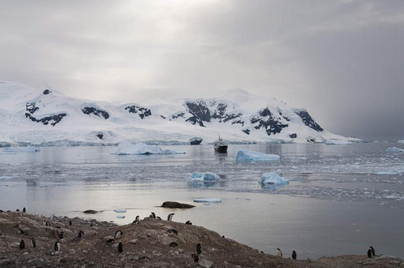 无人,站,横图,俯视,室外,白天,旅游,度假,冰山,海浪,海洋,石头,美景,山,轮船,船,企鹅,野生动物,一艘,许多,石子,冰,景观,浪花,山峰,乌云,云,阴天,云朵,山峦,云彩,注视,娱乐,冰川,天空,自然,海水,动物,交通工具,天,观察,看,站着,享受,休闲,景色,放松,寒冷,可爱,活泼,观看,察看,冰冷,昏暗,阴沉,关注,自然风光,载具,南极洲,冰河,海景,严寒,冰凉,酷寒,凛冽,凛凛,极冷,格雷厄姆地,南极半岛,南极大陆,帕默半岛,大海,风浪,海,海水的波动,近岸浪,石块,岩石,涌浪,站立,彩图,高角度拍摄,全身