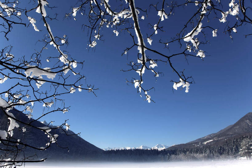 无人,横图,室外,白天,仰视,旅游,度假,美景,森林,山,树林,雪,雪山,植物,大雪,意大利,欧洲,阴影,光线,影子,冰,积雪,景观,山峰,雪景,冬季,冬天,山峦,娱乐,树,树木,蓝色,绿色,蓝天,天空,阳光,自然,天,享受,休闲,景色,放松,寒冷,生长,晴朗,成长,冰冷,南欧,自然风光,万里无云,意大利共和国,严寒,冰凉,酷寒,凛冽,凛凛,极冷,皮埃蒙特大区,皮埃蒙特,晴空,晴空万里,彩图,低角度拍摄