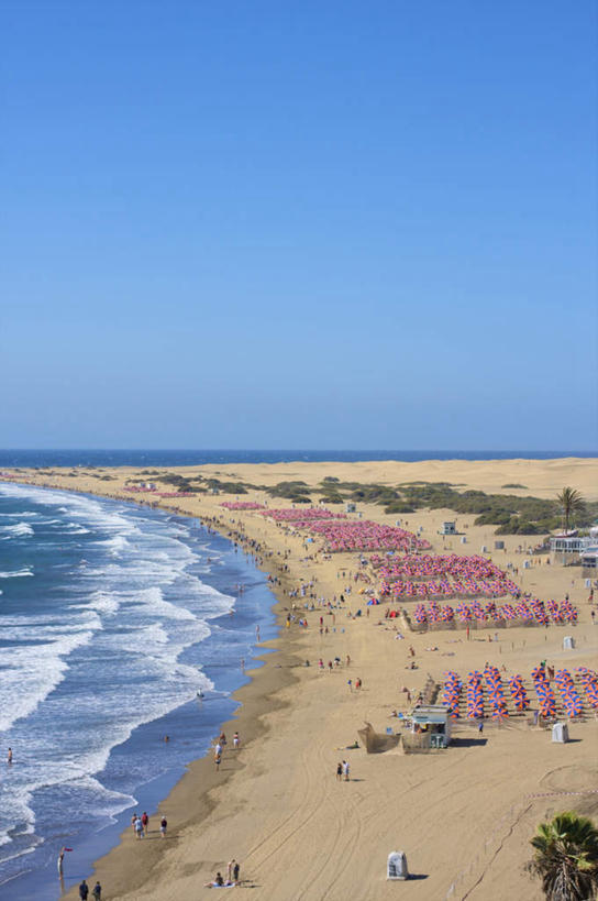 西方人,站,走,竖图,俯视,航拍,室外,白天,泳装,比基尼,旅游,度假,海浪,海洋,沙滩,植物,西班牙,欧洲,欧洲人,一排,行人,游客,游人,阴影,整齐,光线,伞,沙子,影子,雨伞,遮阳伞,海岸,浪花,沙地,许多人,注视,娱乐,阳伞,路人,旅客,树,树木,排列,蓝色,绿色,蓝天,天空,阳光,自然,海水,天,观察,看,站着,一群人,享受,休闲,放松,生长,晴朗,成长,观看,察看,加纳利群岛,鸟瞰,队列,关注,南欧,加那利群岛,海景,伊比利亚半岛,万里无云,西班牙王国,拉斯帕尔马斯,过客,大加纳利岛,男人,男性,年轻男性,年轻女性,女人,女性,白种人,大海,风浪,海,海水的波动,海滩,近岸浪,涌浪,晴空,晴空万里,步行,散步,站立,走路,彩图,高角度拍摄,全身,三点式,泳衣