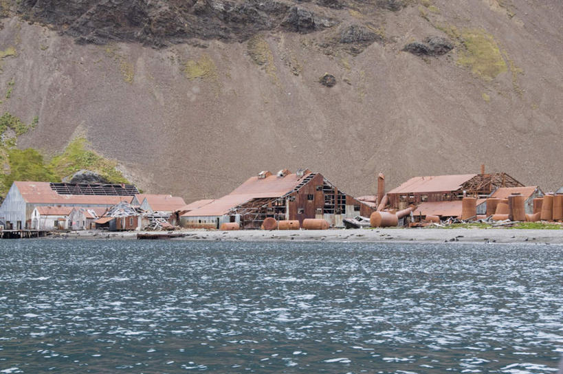 无人,家,横图,室外,白天,正面,旅游,度假,草地,草坪,海浪,海洋,山,山脉,植物,朦胧,模糊,房屋,屋子,浪花,山峰,山峦,娱乐,楼房,住宅,草,排列,绿色,海水,群山,享受,休闲,南美,放松,南美洲,拉丁美洲,美洲,海景,亚美利加洲,南亚美利加洲,摆列,南乔治亚岛,福克兰群岛,马尔维纳斯群岛,大海,风浪,海,海水的波动,近岸浪,涌浪,彩图,房子,布列,分列