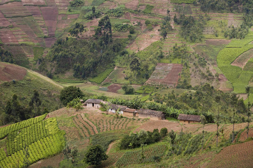 无人,家,农田,农场,横图,俯视,室外,白天,旅游,度假,畜牧业,牧场,庄稼,农作物,草地,草坪,美景,山,山脉,植物,非洲,布隆迪,房屋,屋子,景观,山峰,山峦,娱乐,楼房,住宅,草,树,树木,绿色,自然,群山,享受,休闲,景色,放松,生长,成长,自然风光,畜牧,牧业,阿非利加洲,东非,布隆迪共和国,彩图,高角度拍摄,耕地,庄稼田,房子