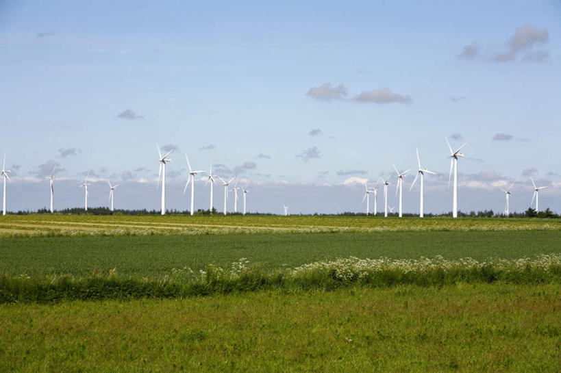 无人,横图,室外,白天,正面,仰视,旅游,度假,农业,风力发电机,草地,草坪,美景,植物,风车,丹麦,欧洲,环保,电力,景观,云,云朵,云彩,娱乐,设备,草,排列,蓝色,绿色,白云,蓝天,天空,自然,天,享受,休闲,发电,机械,景色,放松,工业,能源,晴朗,资源,风力机,自然风光,北欧,利用,低碳,斯堪狄纳维亚半岛,丹麦王国,摆列,日德兰半岛,风力发电,晴空,彩图,低角度拍摄,布列,分列