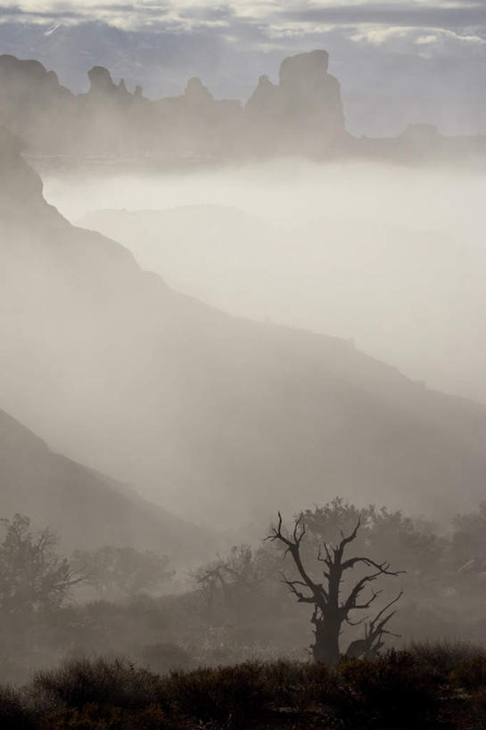 无人,公园,竖图,俯视,室外,白天,旅游,度假,美景,山,山脉,植物,雾,美国,朦胧,模糊,景观,山峰,山峦,娱乐,树,树木,绿色,自然,群山,享受,休闲,景色,放松,生长,成长,连绵,迷雾,北美,北美洲,国家公园,犹他州,绵延,自然风光,美洲,拱门国家公园,拱石国家公园,北亚美利加洲,亚美利加洲,犹他,蜂窝之州,蜂房州,联贯,大雾,彩图,高角度拍摄,连缀