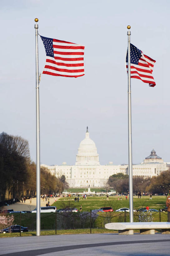 无人,竖图,室外,白天,仰视,旅游,度假,植物,标志建筑,地标,建筑,旗帜,国旗,美国,壮观,首都,娱乐,建设,国会大厦,树,树木,两个,蓝色,绿色,蓝天,天空,自然,天,享受,休闲,旅游胜地,放松,生长,晴朗,成长,北美,北美洲,壮丽,美洲,华盛顿特区,国会大楼,万里无云,华盛顿哥伦比亚特区,华府,华盛顿国会大厦,议会大厦,议会大楼,首都大厦,州议会大厦,州政府,州会议厅,北亚美利加洲,亚美利加洲,旗,晴空,晴空万里,彩图,低角度拍摄