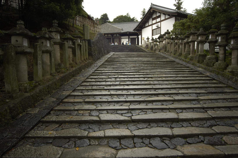 无人,寺庙,横图,室外,白天,仰视,旅游,度假,名胜古迹,植物,楼梯,标志建筑,地标,建筑,路灯,照明,奈良县,日本,亚洲,一排,阴影,节日,遗迹,整齐,光线,影子,阶梯,灯光,燃烧,古迹,文化,文物,娱乐,建设,古建筑,台阶,灯,树,树木,排列,蓝色,绿色,蓝天,天空,阳光,自然,香火,庙宇,天,祈祷,享受,休闲,健康,旅游胜地,放松,许愿,宗教,信仰,生长,晴朗,成长,纪念,祈求,照亮,照明设备,队列,古文明,东亚,本州,世界文化遗产,万里无云,本州岛,日本国,近畿地方,奈良,东大寺,近畿,平安,晴空,晴空万里,彩图,低角度拍摄,庙,寺