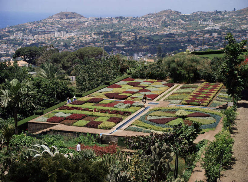 无人,家,横图,俯视,室外,白天,度假,石头,美景,山,山脉,植物,城市风光,城市,道路,路,非洲,阴影,环保,光线,石子,影子,房屋,屋子,景观,山峰,小路,防护,交通,山峦,娱乐,楼房,住宅,树,树木,排列,蓝色,绿色,蓝天,天空,阳光,自然,群山,天,享受,休闲,景色,放松,生长,晴朗,成长,美好,美妙,间隔,万里无云,美观,雅观,阿非利加洲,摆列,丰沙尔,马德拉群岛,绿篱,生篱,树篱,植篱,石块,岩石,晴空,晴空万里,彩图,高角度拍摄,房子,布列,分列