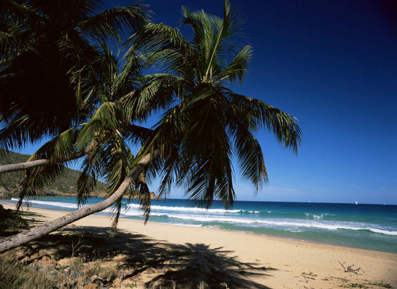 无人,横图,室外,白天,正面,旅游,度假,海浪,海洋,美景,沙滩,植物,棕榈树,叶子,加勒比海,阴影,光线,沙子,影子,海岸,景观,浪花,水平线,辽阔,绿叶,海平线,沙地,娱乐,树,树木,蓝色,绿色,蓝天,天空,阳光,自然,海水,天,享受,休闲,广阔,嫩叶,景色,南美,放松,生长,晴朗,成长,一望无际,南美洲,拉丁美洲,自然风光,美洲,海景,棕榈叶,万里无云,英属维尔京群岛,维京群岛,亚美利加洲,南亚美利加洲,维尔京戈尔达岛,英属处女群岛,无边无际,一马平川,叶,叶片,大海,风浪,海,海水的波动,海滩,近岸浪,涌浪,晴空,晴空万里,彩图,水天相接,水天一线