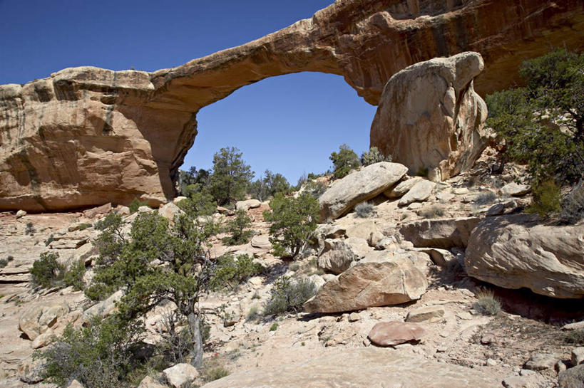 无人,公园,横图,室外,白天,仰视,旅游,度假,草地,草坪,石头,美景,山,山脉,植物,美国,阴影,光线,石子,影子,洞,景观,山峰,山峦,娱乐,草,蓝色,绿色,蓝天,天空,阳光,自然,群山,天,享受,休闲,景色,放松,洞穴,晴朗,北美,北美洲,国家公园,犹他州,自然风光,美洲,穴,万里无云,北亚美利加洲,亚美利加洲,犹他,蜂窝之州,蜂房州,天然桥国家公园,天然桥国家保护区,石块,岩石,晴空,晴空万里,彩图,低角度拍摄