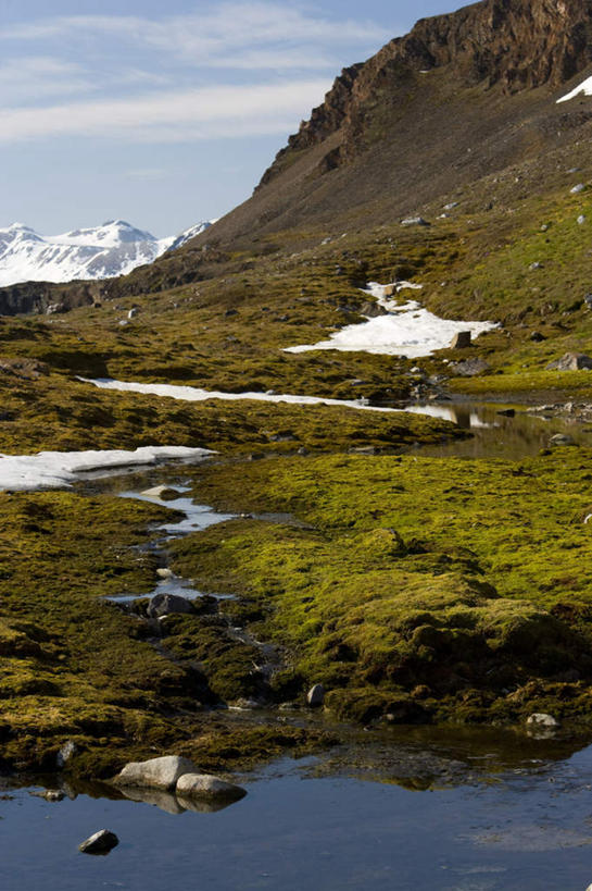 无人,竖图,俯视,室外,白天,旅游,度假,草地,草坪,河流,石头,美景,山,水,雪,雪山,植物,大雪,挪威,欧洲,阴影,波纹,光线,石子,影子,冰,河水,积雪,景观,山峰,水流,雪景,云,云朵,冬季,冬天,涟漪,山峦,云彩,娱乐,草,蓝色,绿色,白云,倒影,蓝天,水纹,天空,阳光,自然,波浪,天,享受,休闲,景色,放松,寒冷,晴朗,冰冷,倒映,斯堪的纳维亚,自然风光,北欧,斯堪的纳维亚半岛,斯瓦尔巴群岛,水晕,严寒,冰凉,酷寒,凛冽,凛凛,极冷,挪威王国,斯匹次卑尔根群岛,反照,石块,岩石,晴空,彩图,高角度拍摄