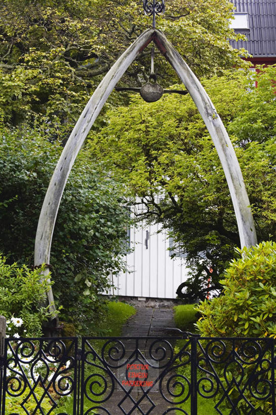 无人,栏杆,竖图,室外,白天,正面,旅游,度假,草地,草坪,植物,楼梯,门,路灯,金属制品,照明,丹麦,欧洲,阴影,花纹,光线,金属,扶手,影子,阶梯,灯光,娱乐,护栏,台阶,灯,草,树,树木,绿色,阳光,自然,门框,享受,休闲,放松,拱形,生长,成长,照亮,照明设备,北欧,首府,丹麦王国,法罗群岛,托尔斯港,彩图