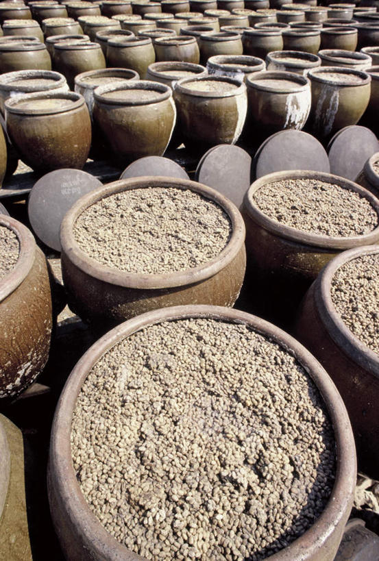 无人,竖图,俯视,室内,白天,植物,豆,大豆,一排,许多,阴影,整齐,光线,影子,水缸,豆类,豆子,毛豆,很多,酱油,排列,队列,豆科,枝豆,黄豆,彩图,高角度拍摄