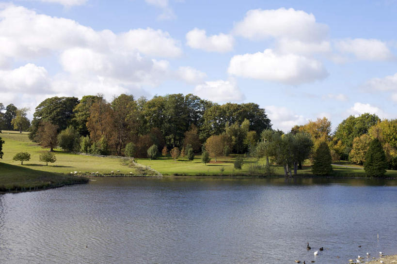 游泳,无人,横图,室外,白天,正面,旅游,度假,草地,草坪,湖,湖泊,美景,水,植物,鸟,英国,欧洲,一群,许多,阴影,光线,鸟类,鸭,影子,湖面,景观,水流,水面,云,云朵,很多,云彩,注视,娱乐,家禽,利兹城堡,草,树,树木,蓝色,绿色,白云,倒影,蓝天,天空,阳光,自然,动物,湖水,天,观察,看,享受,休闲,景色,放松,牲畜,生长,晴朗,成长,观看,察看,倒映,西欧,关注,自然风光,大不列颠,大不列颠及北爱尔兰联合王国,肯特郡,泅水,大不列颠联合王国,日不落英帝国,反照,拍浮,利兹堡,梅德斯通,晴空,半身,彩图