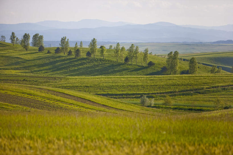 无人,农田,横图,室外,白天,正面,旅游,度假,庄稼,农作物,草地,草坪,美景,山,山脉,植物,欧洲,罗马尼亚,阴影,光线,影子,景观,山峰,山峦,娱乐,草,树,树木,蓝色,绿色,蓝天,天空,阳光,自然,群山,天,享受,休闲,景色,放松,生长,晴朗,成长,自然风光,东欧,万里无云,苏恰瓦,苏恰瓦县,晴空,晴空万里,彩图,耕地,庄稼田