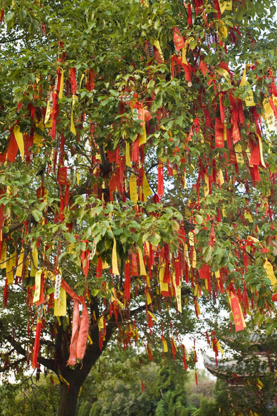 无人,寺庙,竖图,室外,白天,仰视,旅游,度假,名胜古迹,植物,标志建筑,地标,建筑,周庄,中国,亚洲,许多,吊挂,悬挂,阴影,节日,遗迹,光线,影子,很多,燃烧,挂,古迹,文化,文物,娱乐,建设,古建筑,江苏,经幡,树,树木,红色,绿色,阳光,自然,香火,庙宇,祈祷,享受,休闲,健康,旅游胜地,放松,许愿,宗教,信仰,生长,成长,纪念,祈求,古文明,东亚,江苏省,昆山,昆山市,周庄镇,风马旗,中华人民共和国,华东地区,苏,中国第一水乡,鹿城,贞丰里,平安,彩图,低角度拍摄,庙,寺