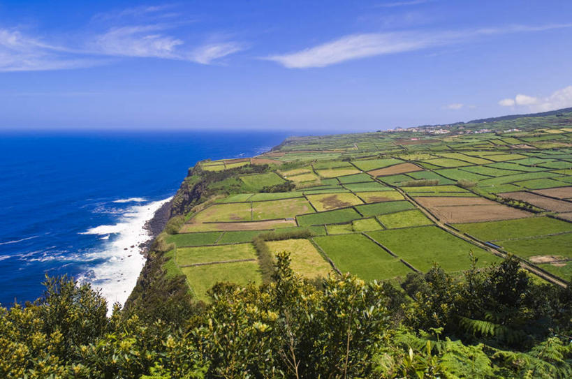 无人,农田,横图,室外,白天,正面,旅游,度假,庄稼,农作物,草地,草坪,海浪,海洋,美景,沙滩,植物,葡萄牙,欧洲,阴影,光线,沙子,影子,海岸,景观,浪花,水平线,云,云朵,辽阔,海平线,沙地,云彩,娱乐,草,树,树木,蓝色,绿色,白云,蓝天,天空,阳光,自然,海水,天,享受,休闲,广阔,景色,放松,生长,晴朗,成长,一望无际,南欧,自然风光,海景,葡萄牙共和国,无边无际,一马平川,亚速尔群岛,特塞拉岛,大海,风浪,海,海水的波动,海滩,近岸浪,涌浪,晴空,彩图,耕地,庄稼田,水天相接,水天一线