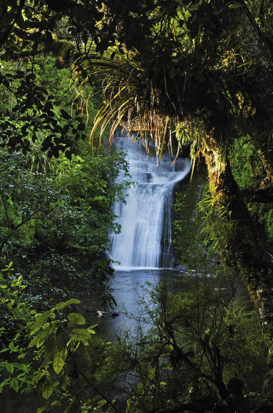 无人,竖图,室外,白天,正面,旅游,度假,河流,美景,瀑布,森林,树林,水,植物,新西兰,阴影,飞溅,溅,光线,液体,影子,河水,景观,水滴,水流,娱乐,水珠,树,树木,绿色,倒影,阳光,自然,享受,休闲,景色,放松,茂盛,生长,成长,繁茂,倒映,喷洒,自然风光,大洋洲,兴旺,纽西兰,长白云之乡,昌盛,新西兰北岛,反照,昌隆,畅旺,发达,蕃芜,繁盛,富强,隆盛,蓬勃,旺盛,兴隆,兴盛,郁勃,丰盛湾,普伦蒂湾,跌水,彩图