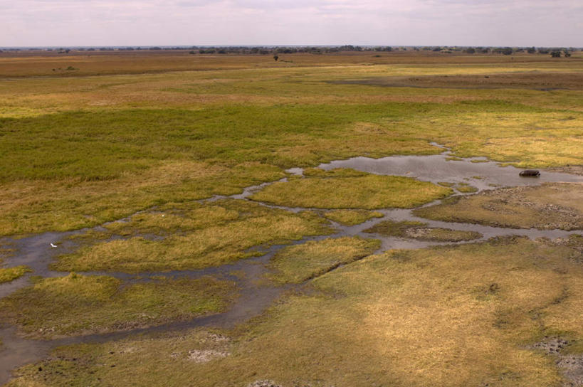 无人,公园,横图,全景,俯视,室外,白天,旅游,度假,草地,草坪,天际线,植物,非洲,赞比亚,阴影,光线,影子,云,云朵,云彩,娱乐,草,树,树木,蓝色,绿色,白云,蓝天,天空,阳光,自然,平原,天,享受,休闲,放松,生长,晴朗,成长,灌木,沼泽,国家公园,池沼,赞比亚共和国,保护地,卢安瓜国家公园,卢安瓜野生动物保护地,晴空,彩图,高角度拍摄