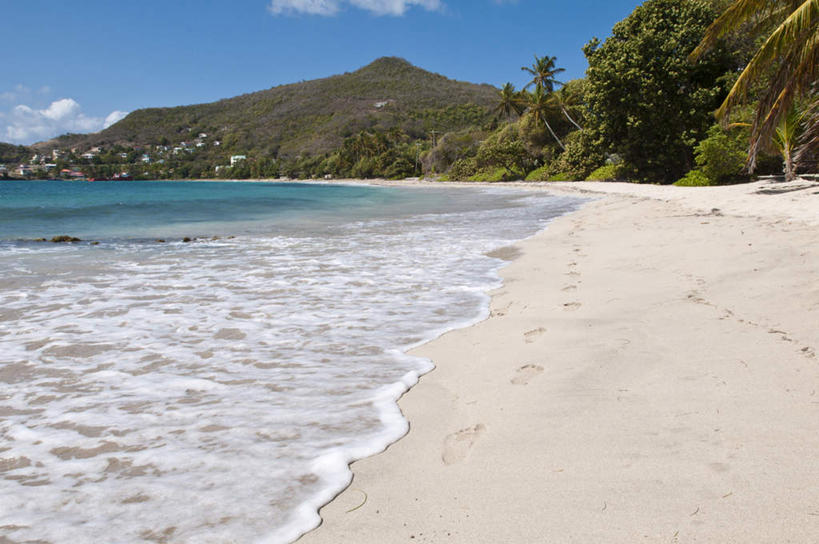 无人,横图,室外,白天,仰视,旅游,度假,海浪,海洋,美景,沙滩,山,山脉,植物,棕榈树,叶子,阴影,朦胧,模糊,光线,沙子,影子,海岸,景观,浪花,山峰,云,云朵,绿叶,沙地,山峦,云彩,娱乐,树,树木,蓝色,绿色,白云,蓝天,天空,阳光,自然,海水,群山,天,享受,休闲,嫩叶,景色,南美,放松,生长,晴朗,成长,南美洲,荷属安的列斯,西印度群岛,拉丁美洲,自然风光,美洲,海景,棕榈叶,向风群岛,荷属安的列斯群岛,亚美利加洲,南亚美利加洲,叶,叶片,大海,风浪,海,海水的波动,海滩,近岸浪,涌浪,晴空,彩图,低角度拍摄