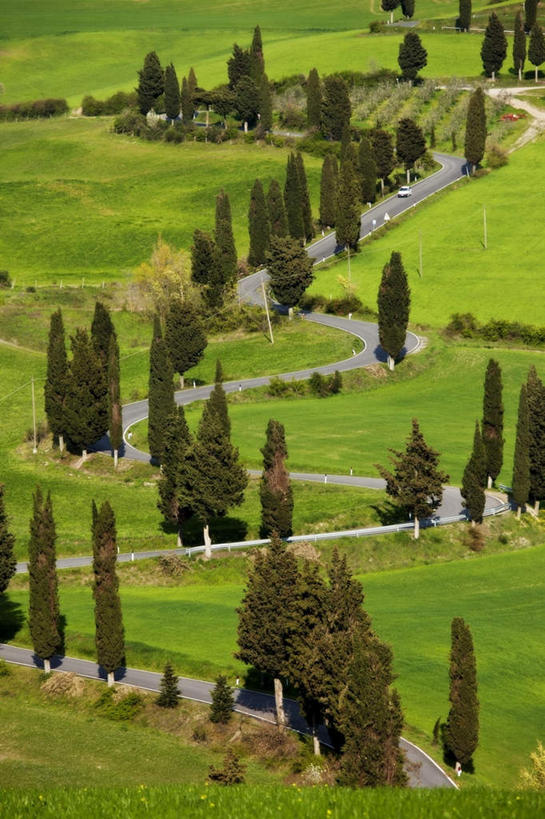 无人,竖图,俯视,航拍,室外,白天,旅游,度假,草地,草坪,美景,植物,道路,路,汽车,意大利,欧洲,一辆,阴影,曲折,弯曲,光线,影子,景观,小路,交通,娱乐,车,草,树,树木,绿色,阳光,自然,交通工具,轿车,享受,休闲,景色,放松,蜿蜒,生长,成长,托斯卡纳,锡耶纳,鸟瞰,南欧,自然风光,载具,皮恩扎,意大利共和国,托斯卡纳大区,彩图,高角度拍摄