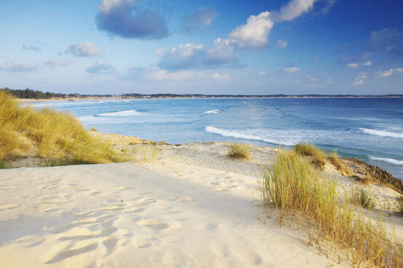 无人,横图,室外,白天,正面,旅游,度假,海浪,海洋,美景,沙滩,植物,非洲,莫桑比克,阴影,枯萎,光线,沙子,影子,海岸,景观,浪花,水平线,云,云朵,辽阔,枯草,海平线,沙地,云彩,娱乐,草,黄色,蓝色,白云,蓝天,天空,阳光,自然,海水,天,享受,休闲,广阔,景色,放松,晴朗,一望无际,自然风光,海景,莫桑比克共和国,无边无际,一马平川,大海,风浪,海,海水的波动,海滩,近岸浪,涌浪,晴空,彩图,水天相接,水天一线