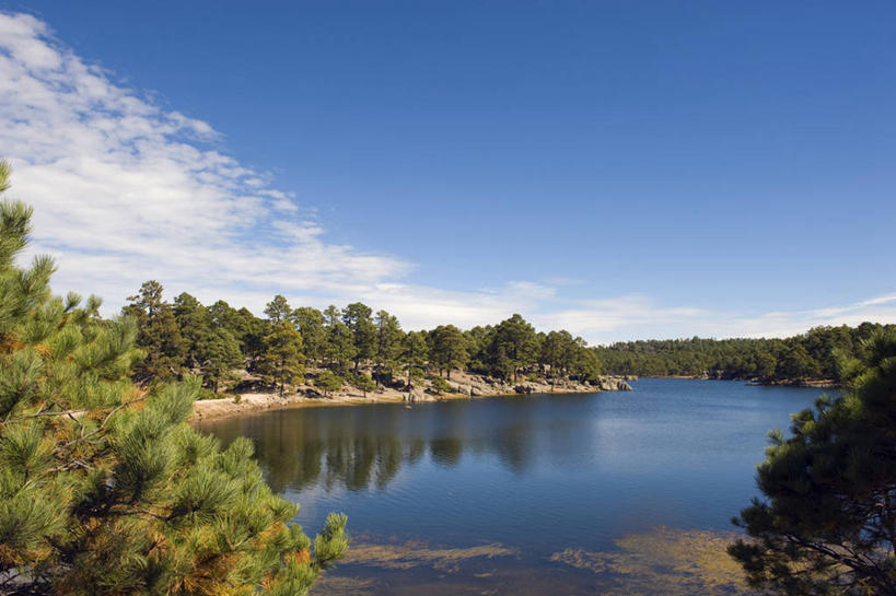 无人,横图,室外,白天,正面,旅游,度假,湖,湖泊,美景,树林,水,植物,墨西哥,阴影,光线,影子,湖面,景观,水流,水面,云,云朵,云彩,娱乐,树,树木,蓝色,绿色,白云,蓝天,天空,阳光,自然,湖水,天,享受,休闲,景色,放松,生长,晴朗,成长,北美,北美洲,自然风光,美洲,北亚美利加洲,亚美利加洲,墨西哥合众国,仙人掌王国,奇瓦瓦,奇瓦瓦州,晴空,彩图